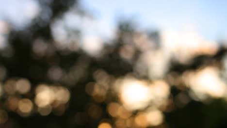 Bokeh-Himmel-01