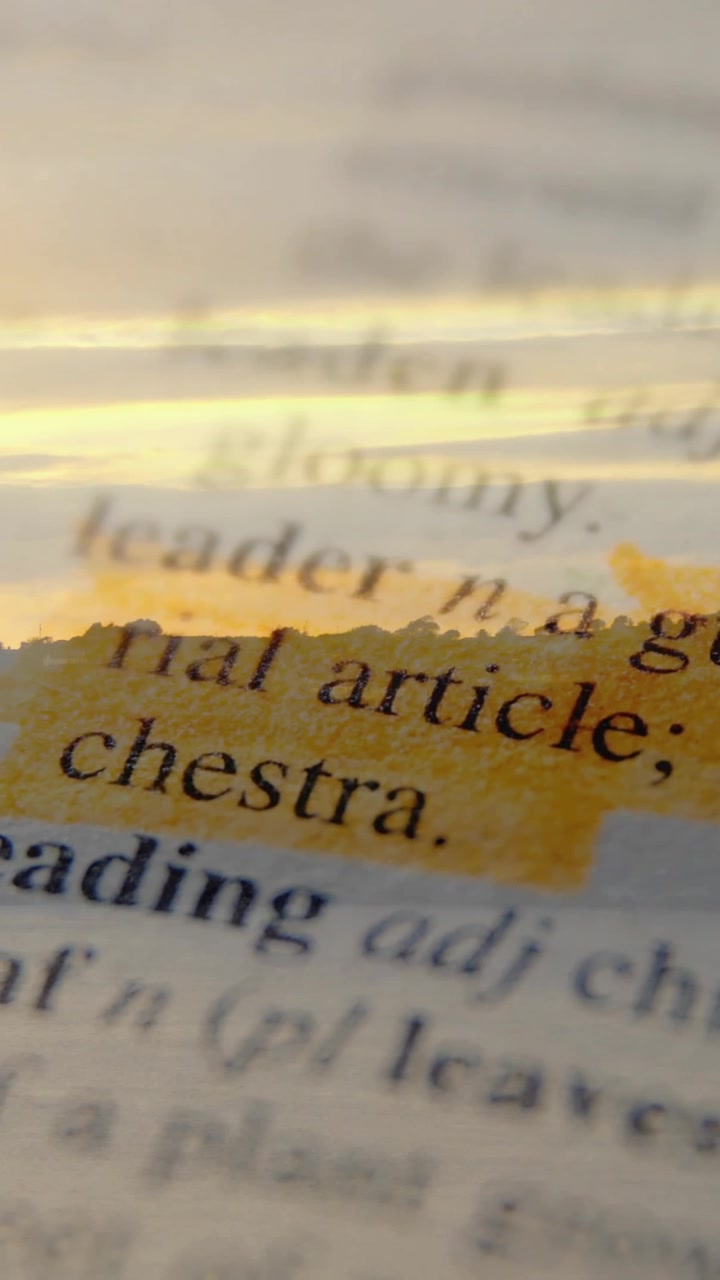 Highlighting dictionary definition of leader over sunset landscape animation