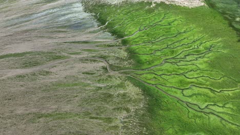 escena épica de la naturaleza del delta de slikken van voorne con patrones llamativos