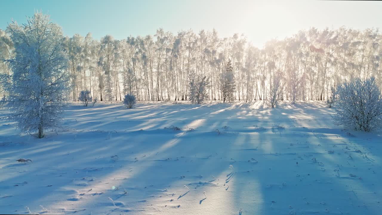 Vinterlandskap med snötäckta träd