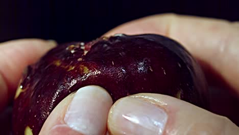 desgarrando la carne suave y deliciosa de la fruta de la higuera para revelar el endocarpo