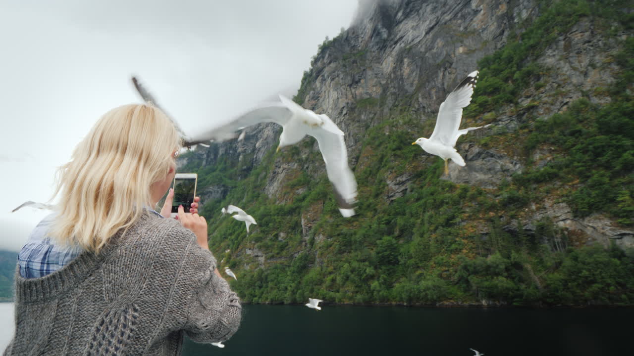 Der Tourist fotografiert schöne Fjorde und Möwen, die in der Nähe vorbeifliegen – Kreuzfahrt auf den Fjorden Norwegens.