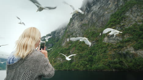 el turista fotografía hermosos fiordos y gaviotas que vuelan cerca de un crucero por los fiordos de noruega