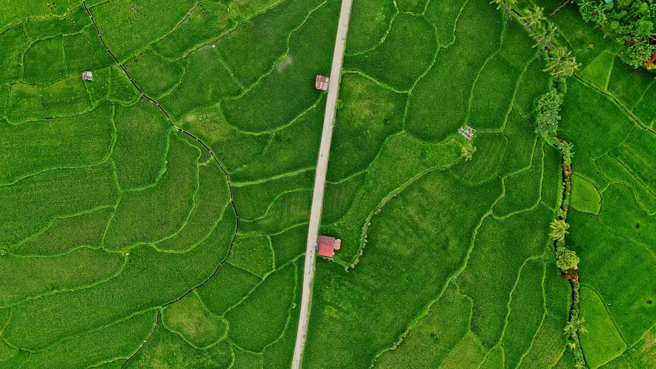 From above, Mahabang Tanaw showcases its agricultural landscape, with fields creating a patchwork quilt of textures and colors in Quezon