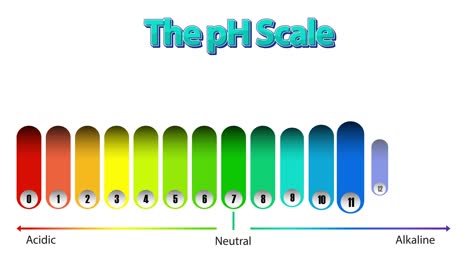 animated visualization of acidic to alkaline substances.