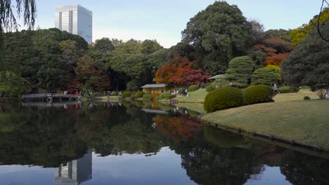 vibrantly colorful shinjuku gyoen japanese garden and pond in tokyo japan - wide shot