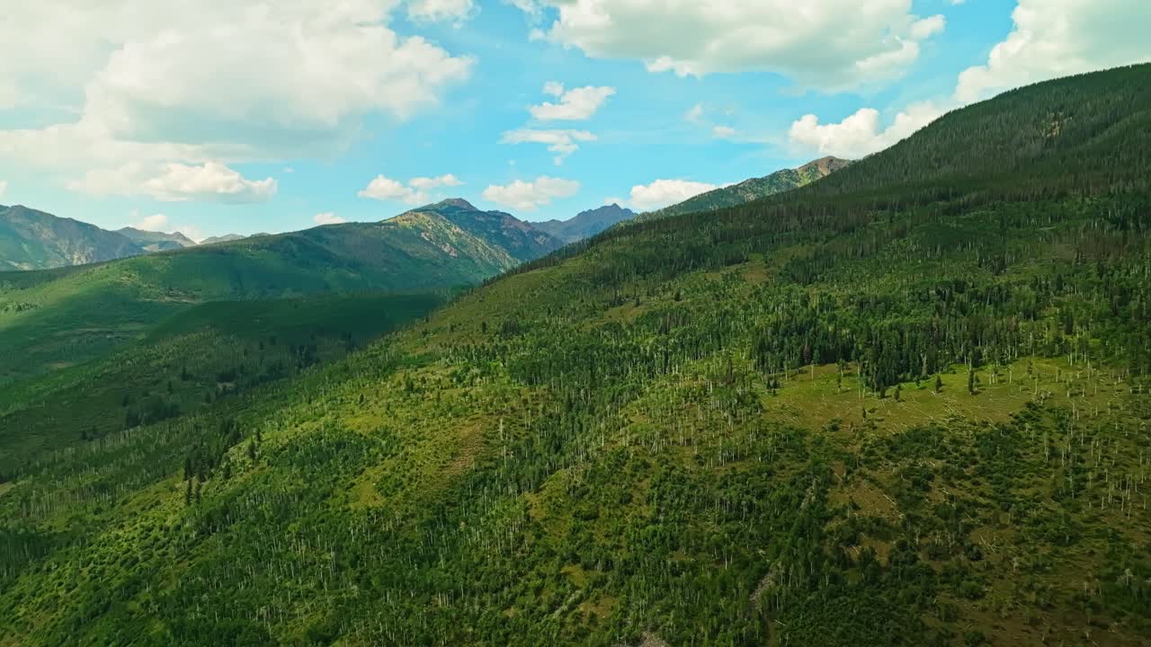 Aerial of bright green Vail hillside under clear summer skies with patches of open forest cover