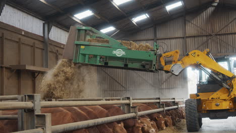 a large machine spreading a haybale into bulls boxes