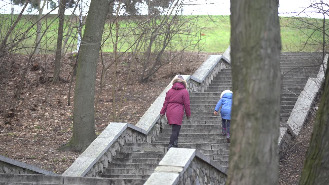 gente caminando en la niebla hacia el final del callejón con árboles. atmósfera misteriosa en la gran ciudad