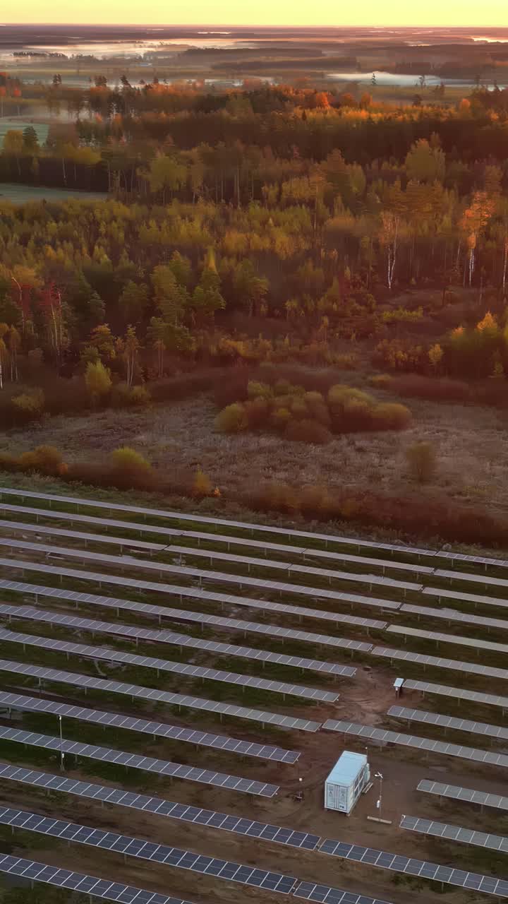 Majestic sunrise and misty woodland landscape with massive solar panel farm, aerial vertical view