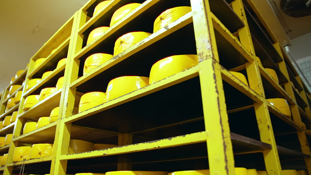 High metal shelves with heads of hard cheese at the dairy factory. Storage for cheese ripening in the dairy enterprise. Big yellow heads of cheese close up.