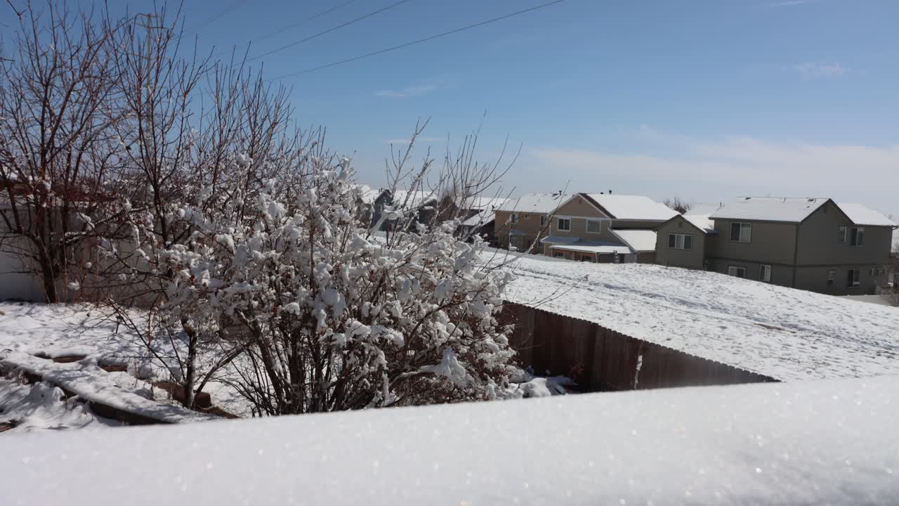 Timelapse of a snow thaw mid morning as the puffy snow falls from the branches and sinks low