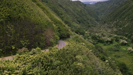 isla maui en hawai