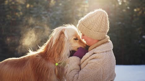woman and afghan hound in winter