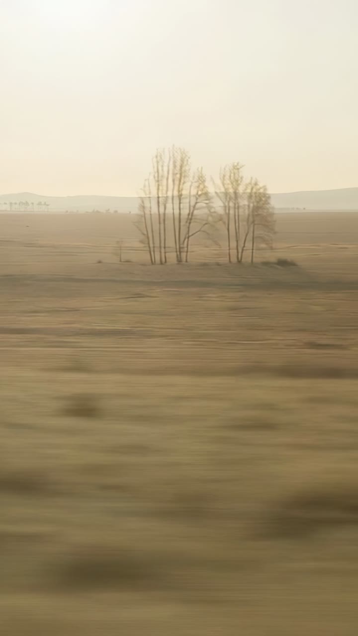 Vertical video: Moving vehicle camera recording bare copse and dry grass across plain, copy space
