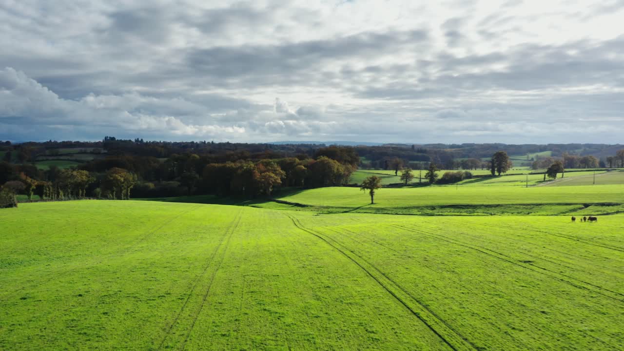 프랑스의 시네마틱 항공 촬영 풍경, 나무, 도로 및 마을