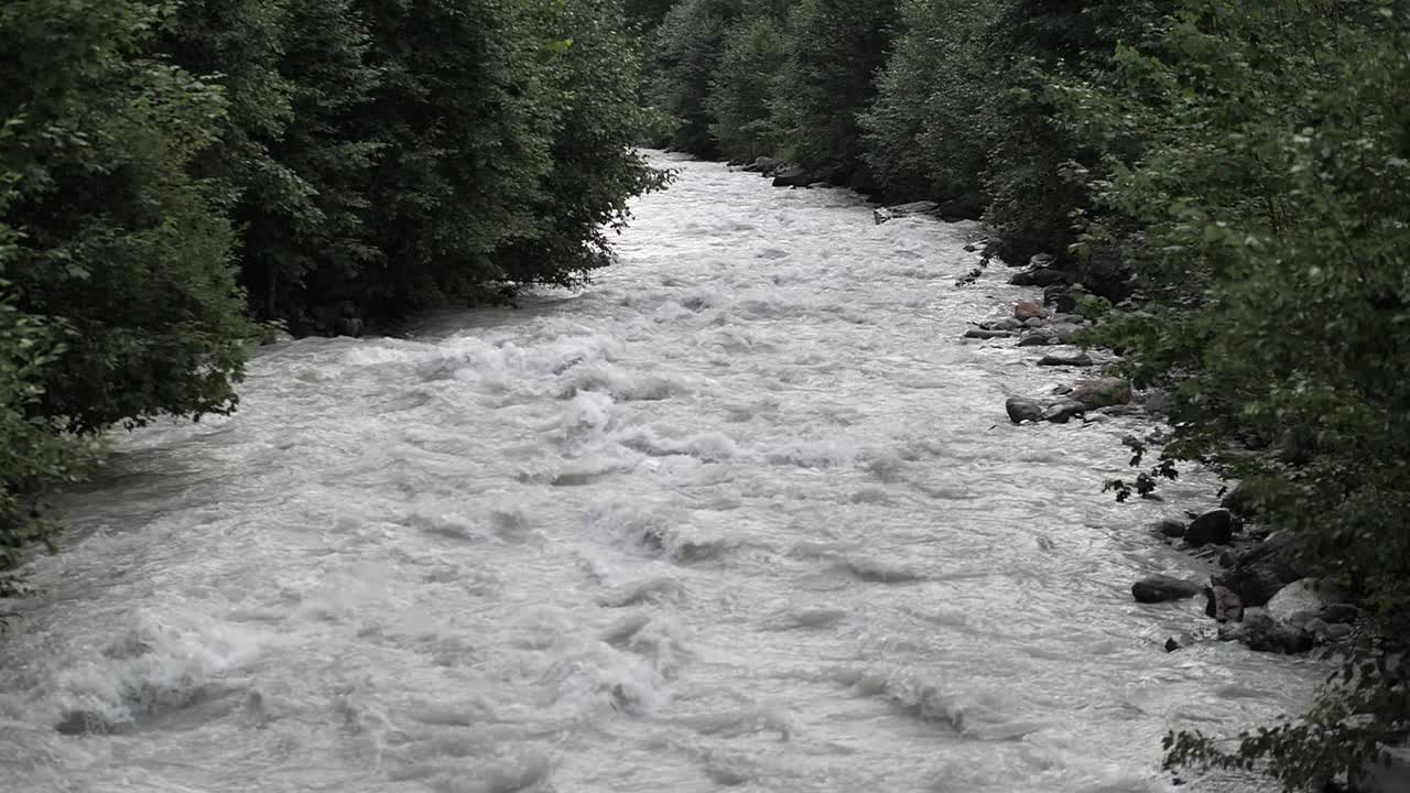 Small river of melted gray water streaming and sloshing on the rocks while green trees growing on the side. Slowmotion wide shot