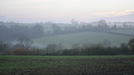 Misty-morning-shot-of-countryside-landscape
