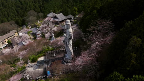 Große-Steinstatue-Von-Avalokiteshvara,-Umgeben-Von-Kirschblüten-Im-Tsubosaka-Dera-Tempel-In-Japan