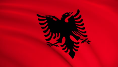 albania national flag