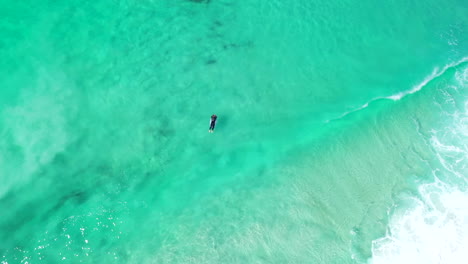 Surfer-paddling-out-to-the-waves-on-a-beach-at-Bay-of-Fires-Tasmania