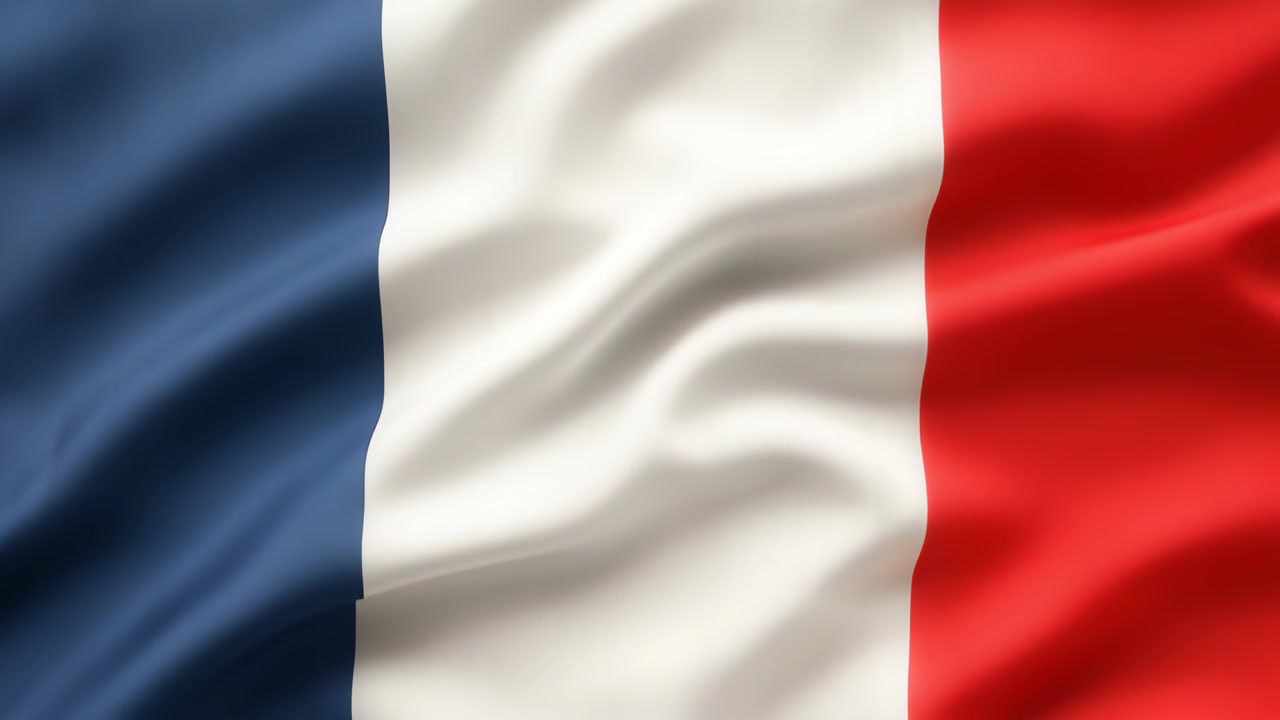 Bandera de Francia ondeando con textura de tela suave