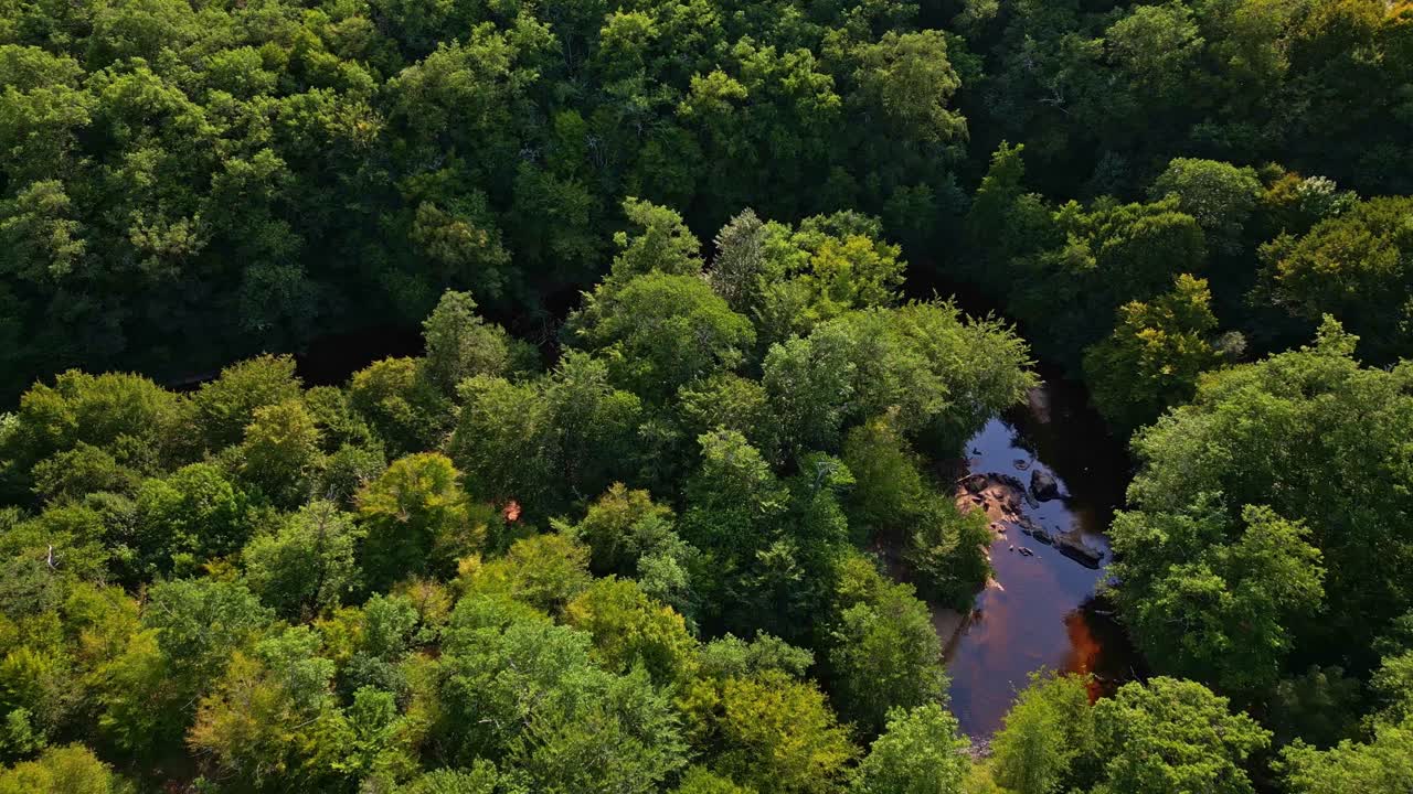Dense green Gué giraud forest canopy with a small river flowing through the middle from above, Saint-Junien, Haute-Vienne, France