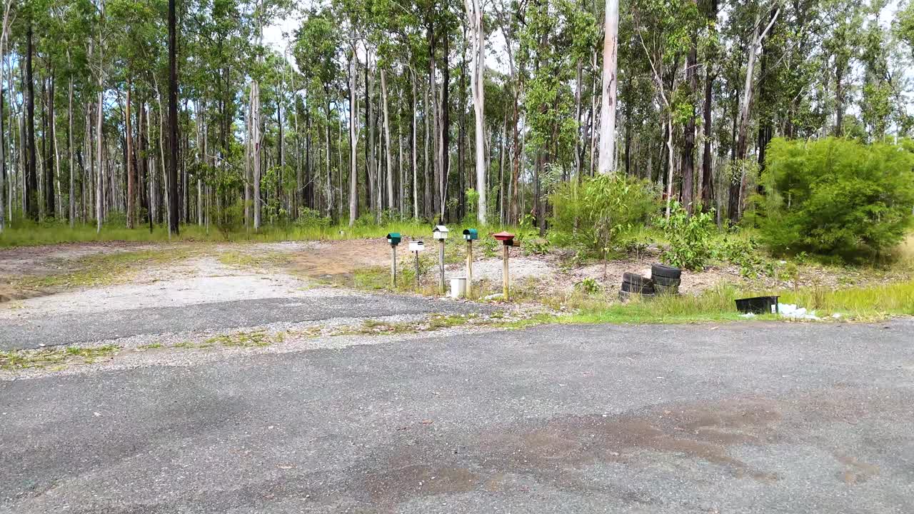 A smooth daylight tracking shot moves from roadside mailboxes into a forest trail, revealing lush greenery and tall eucalyptus trees in Coffs Harbour, Australia