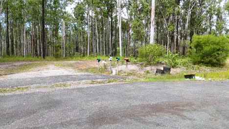 a smooth daylight tracking shot moves from roadside mailboxes into a forest trail, revealing lush greenery and tall eucalyptus trees in coffs harbour, australia