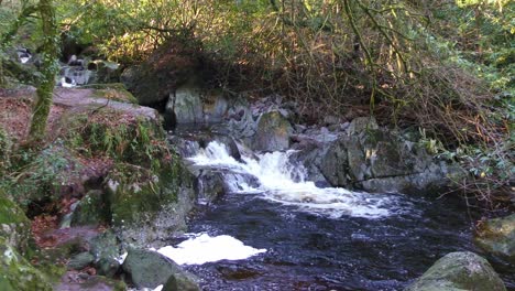 arroyo de montaña en cascada por piscinas rocosas tarde en una fría tarde de invierno