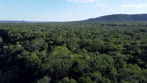 Aerial-pan-over-river-and-thick-forest-in-Profundidad-region-of-Argentina