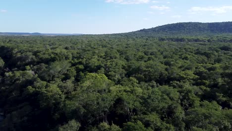 panorámica aérea sobre el río y el denso bosque en la región de profundidad de argentina