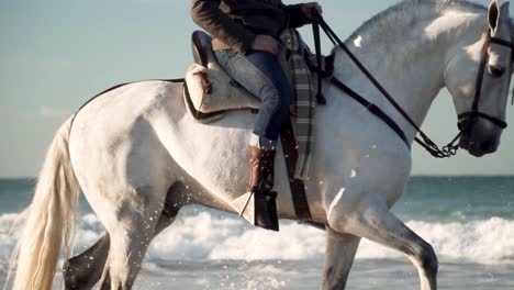 white caucasian men horseback riding on two white horses on a beach with sea water splashing as they gallop through seawater, side view closeup in cinematic slow motion