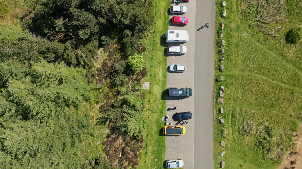 Aerial view road and forest