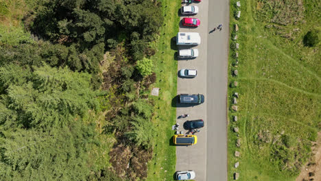 aerial view road and forest