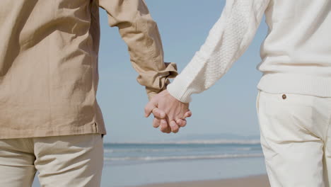 close up shot of an unrecognizable gay couple standing on the beach and holding hands