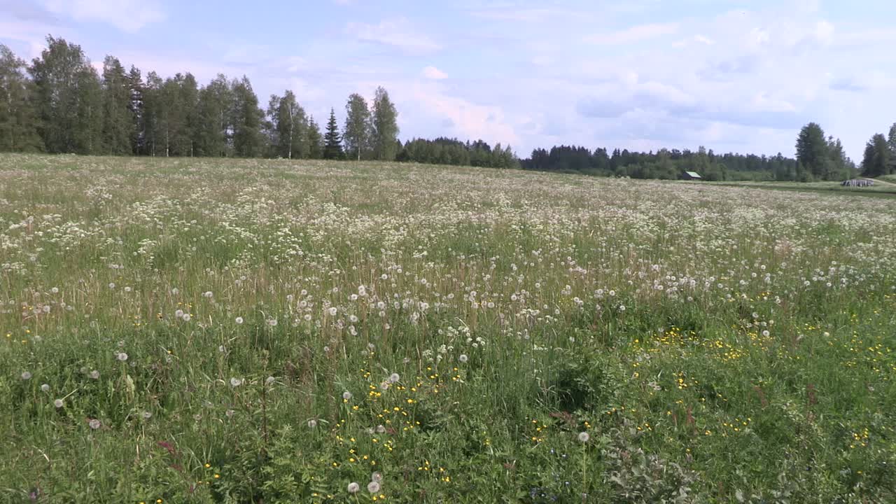 pradera con bolas de aire en el sur de finlandia