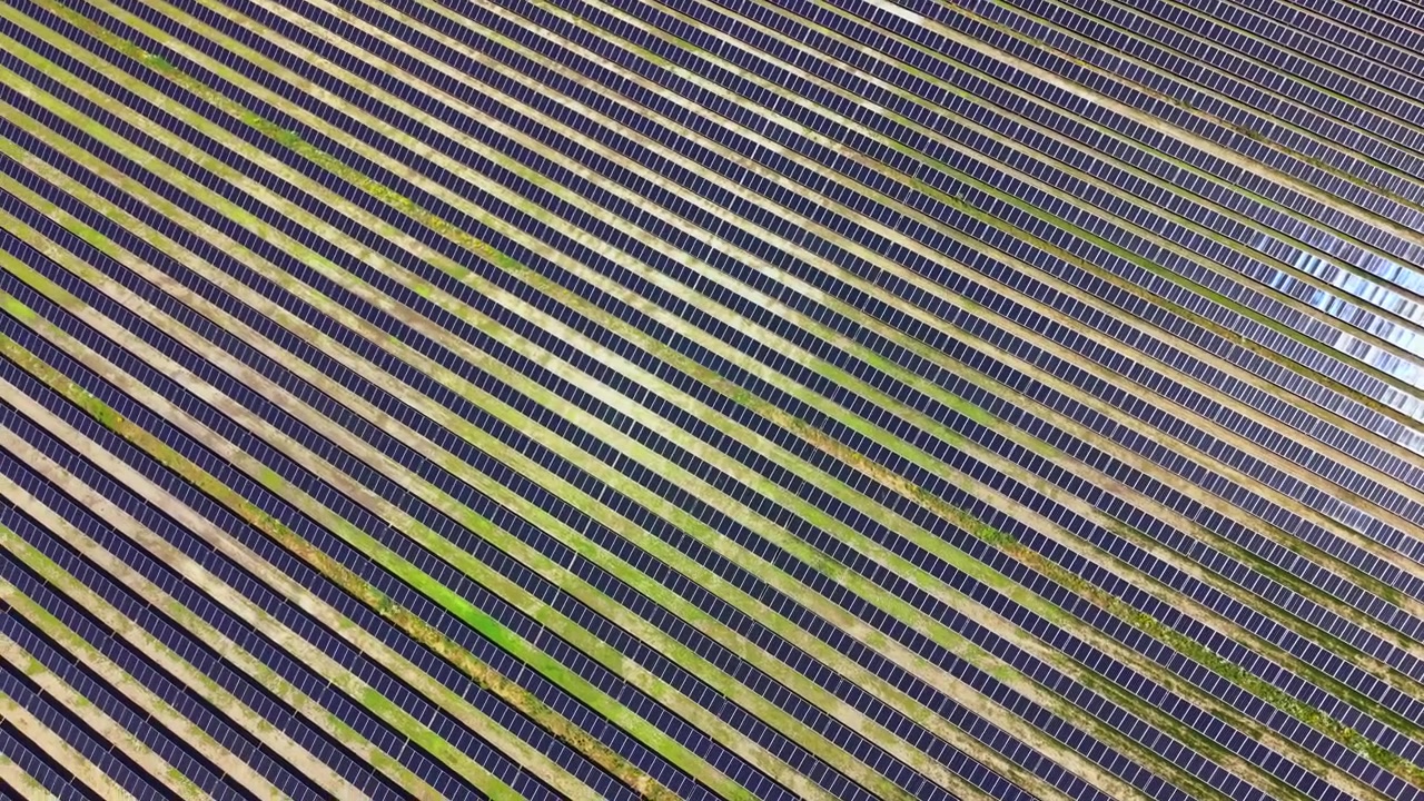 File di pannelli solari coprono una vasta area di terreno mentre ricevono la luce solare, mostrando l'energia rinnovabile in azione durante una giornata di sole.