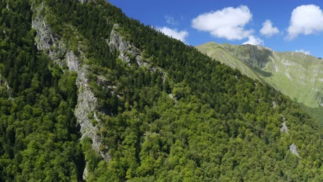 vuelo a baja altura sobre un bosque de montaña, ariege - pirineos, francia