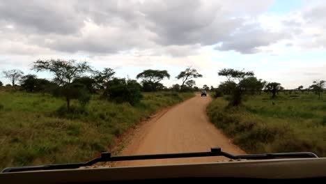 pov tiro sobre el capó del motor en un safari, mientras otro coche pasa por el camino de tierra