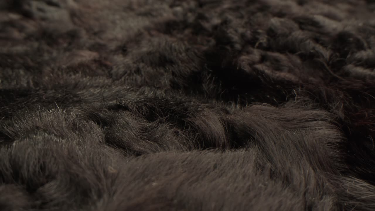 Primo piano di una texture in pelliccia nera