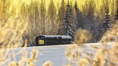 Small-cozy-wooden-cabin-building-in-middle-of-winter-forest,-sunny-day-time-lapse