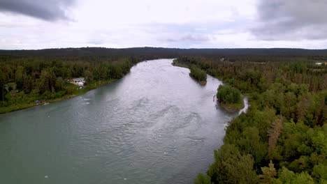 kenai-fluss über den baumwipfeln in der nähe von soldotna, alaska