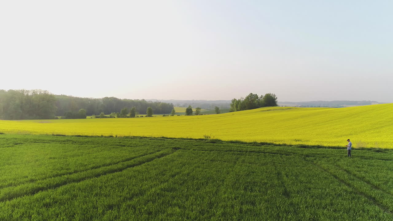 Farmer Observing Wheat and Rapeseed Fields