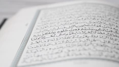 pages from the quran