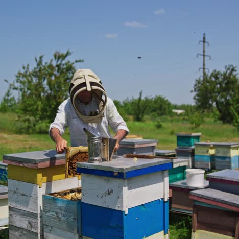apiarist checking the frames if they are ready for bee harvesting. beekeeper holding a frame covered with bee brood. apiary in the field against blue sky backdrop