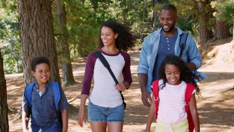 family on hiking adventure walking along path through woods