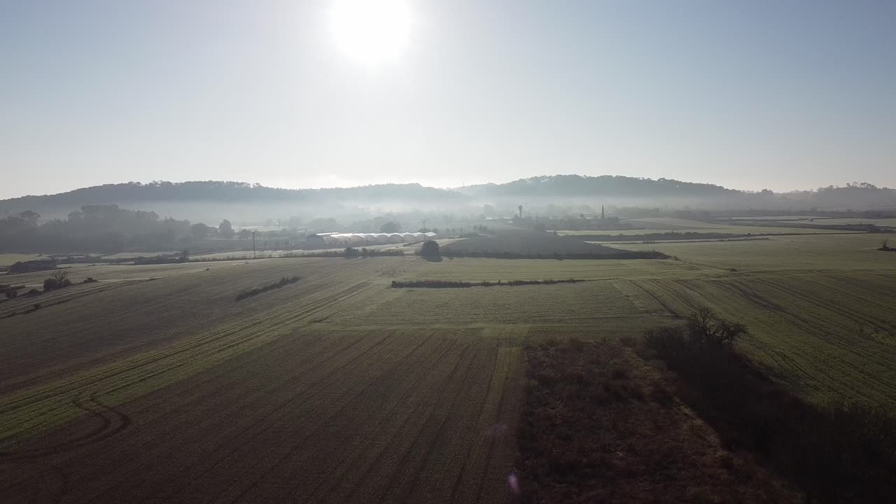 crop field in montuiri mallorca on a foggy day