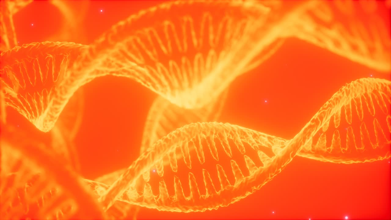 dna 이중 나선 애니메이션의 구조