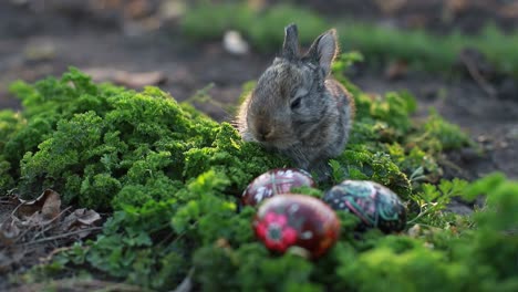 a small rabbit with decorated easter eggs on green foliage